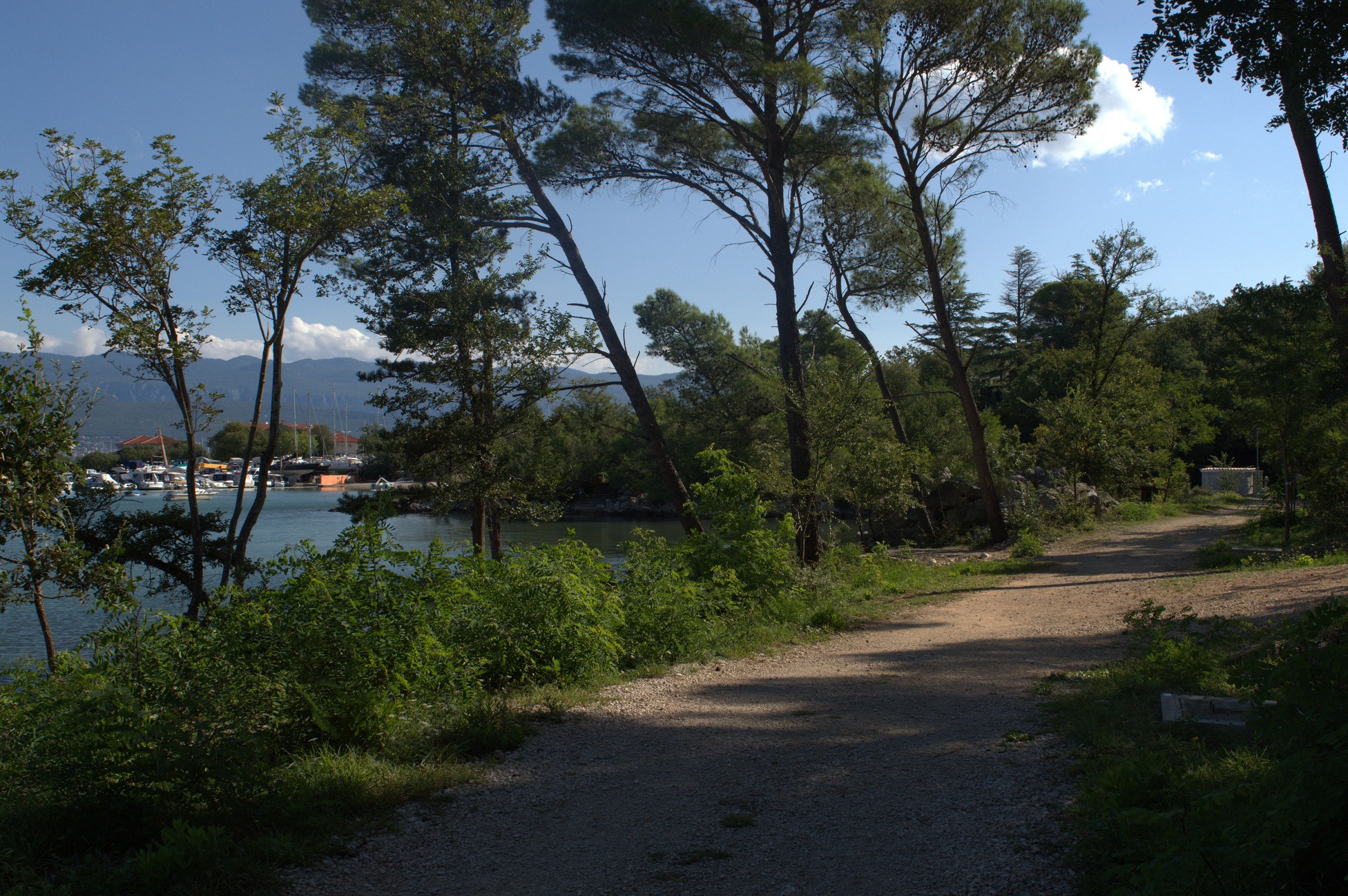 K k 037   dsc 1735   6034 x 4012